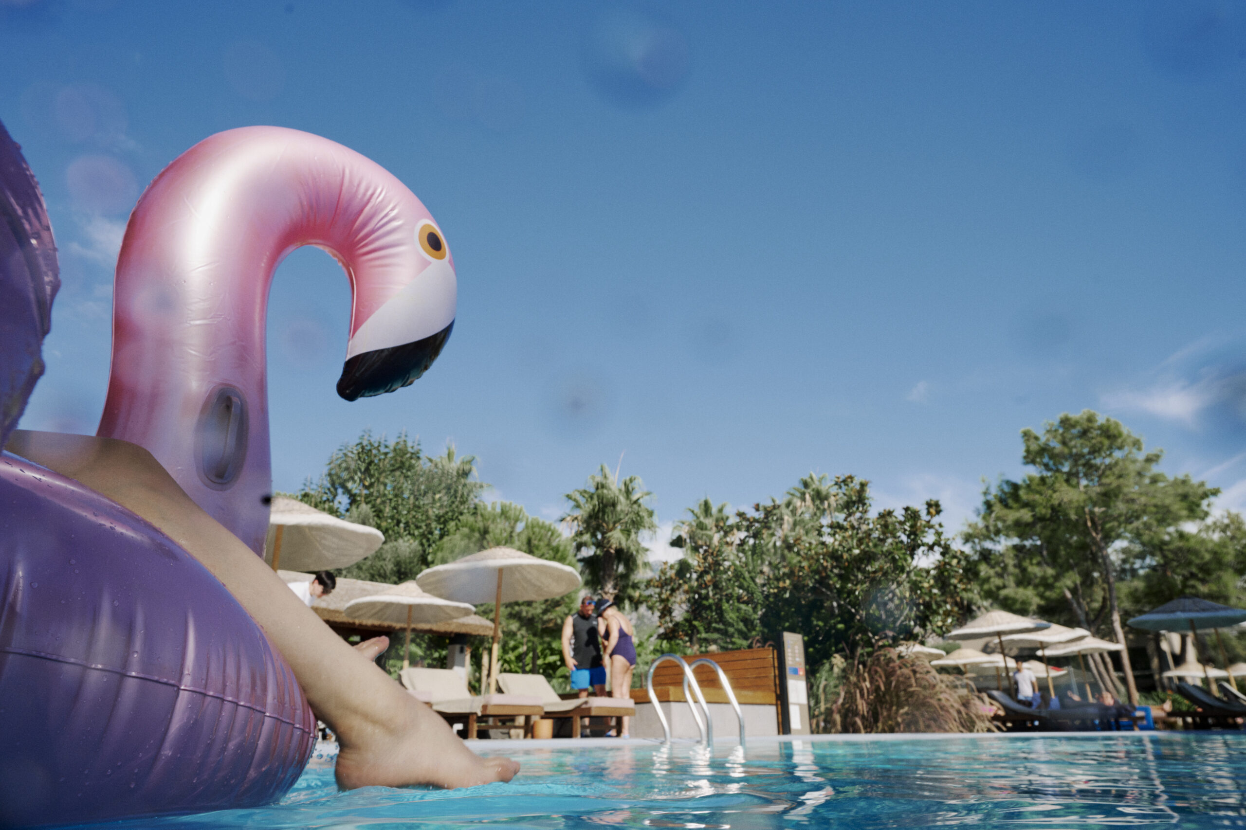 230918_DERTOUR_POOL_ANIMALS_2484