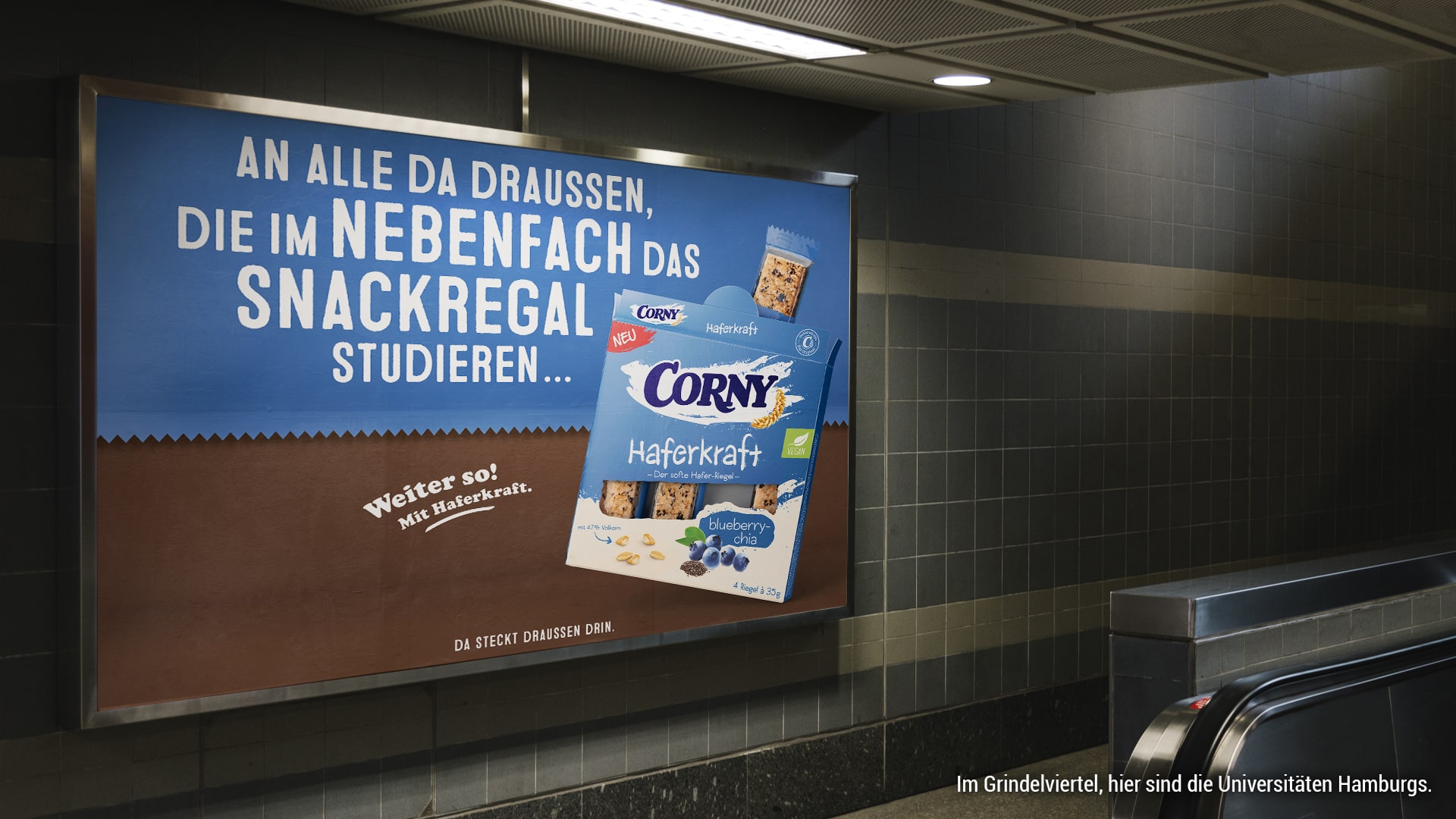studieren